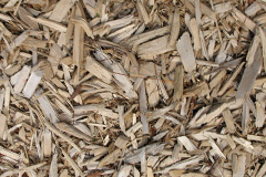 biomass boilers Woodton